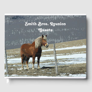 Belgian Draft Horse In Paddock Guest Book