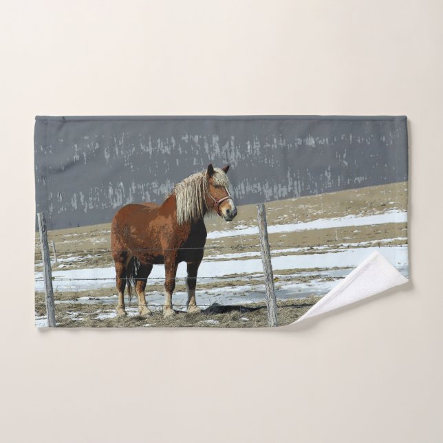 Belgian Draft Horse In Paddock Hand Towel (Hand Towel)