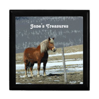 Belgian Draft Horse In Paddock Keepsake Box