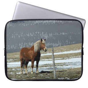 Belgian Draft Horse In Paddock Laptop Sleeve