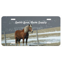 Belgian Draft Horse In Paddock License Plate