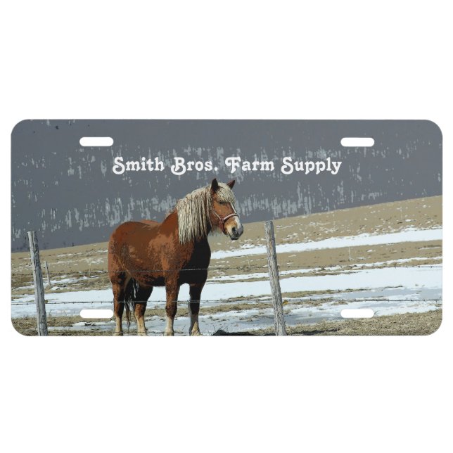 Belgian Draft Horse In Paddock License Plate (Front)