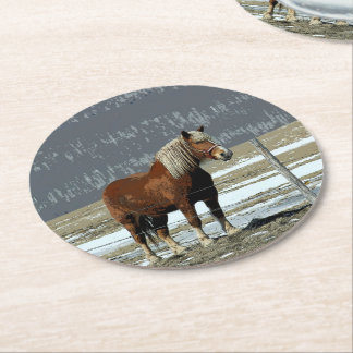Belgian Draft Horse In Paddock Paper Coaster