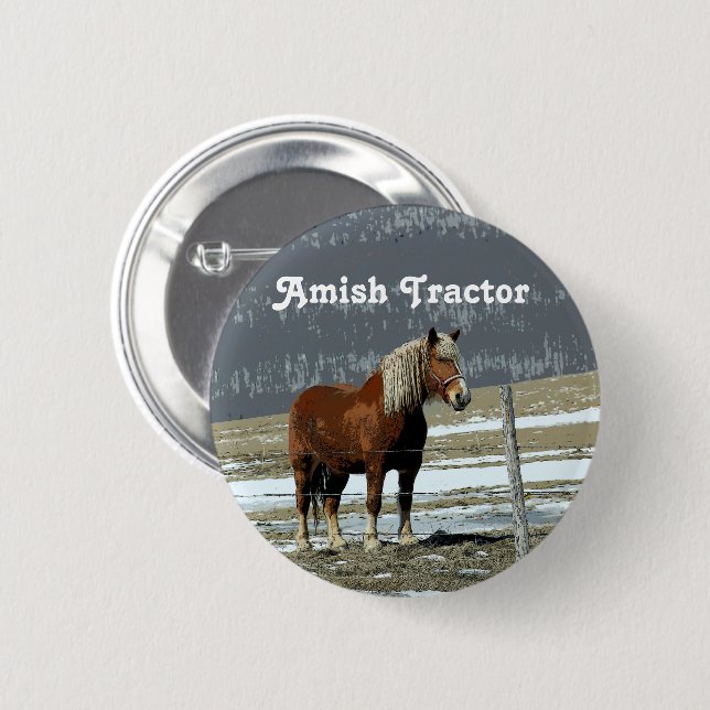 Belgian Draft Horse In Paddock Pin Button (Front & Back)