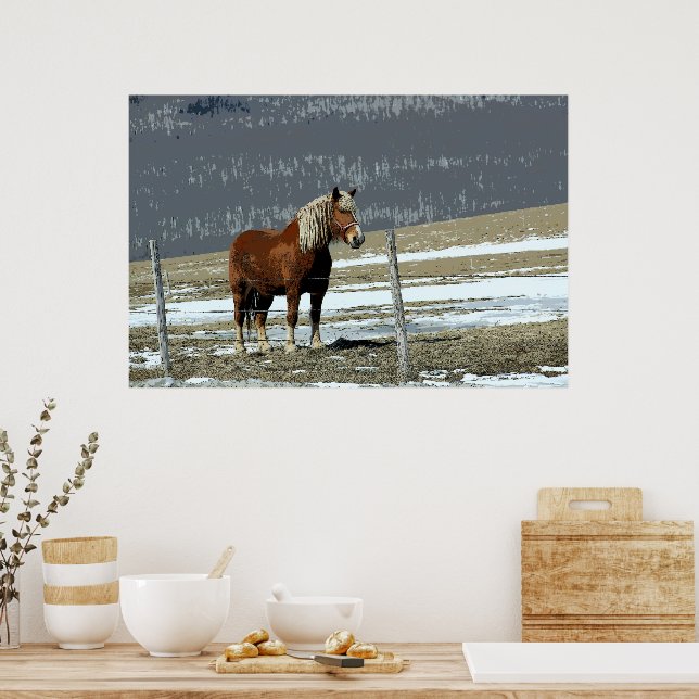 Belgian Draft Horse In Paddock Poster (Kitchen)