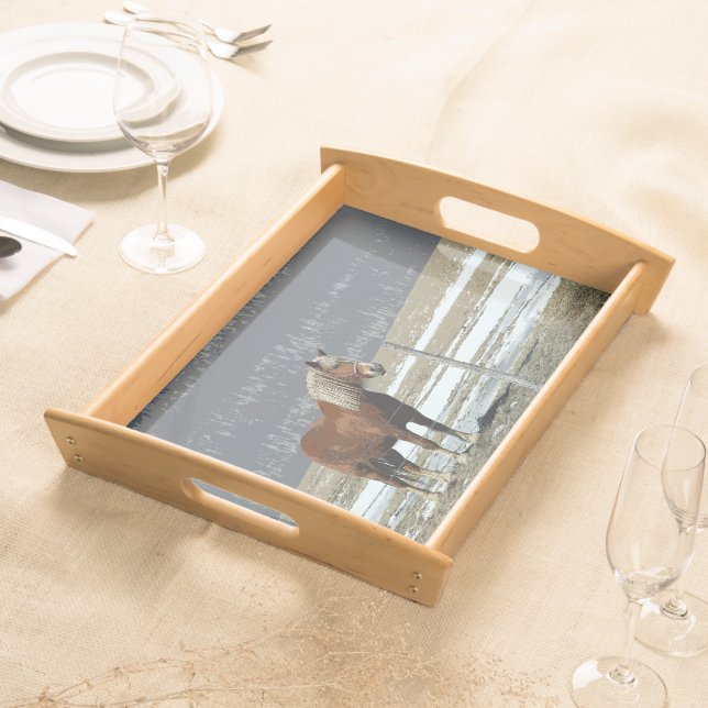 Belgian Draft Horse In Paddock Serving Tray (Front)