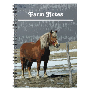Belgian Draft Horse In Paddock Spiral Notebook