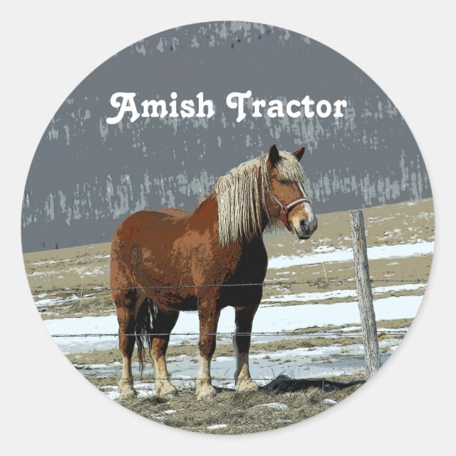 Belgian Draft Horse In Paddock Stickers (Front)