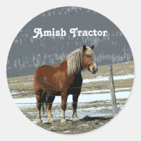 Belgian Draft Horse In Paddock Stickers