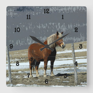 Belgian Draft Horse In Paddock Wall Clock Number