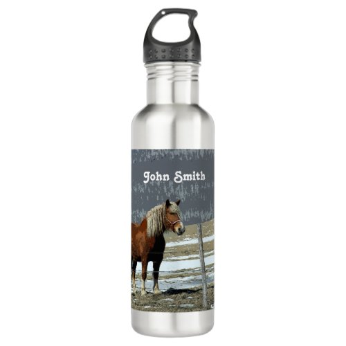 Belgian Draft Horse In Paddock Water Bottle