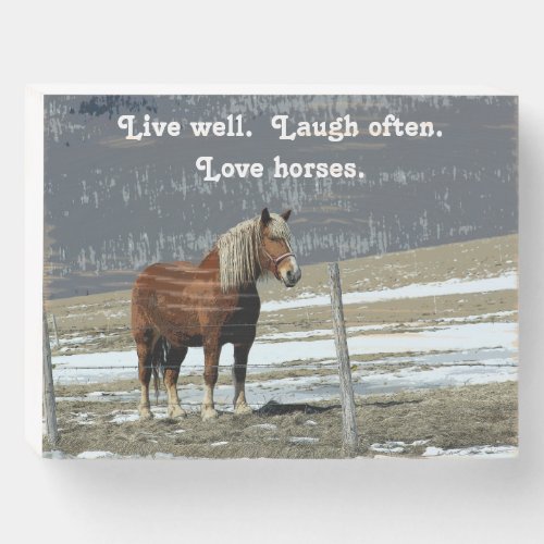 Belgian Draft Horse In Paddock Wood Box Plaque