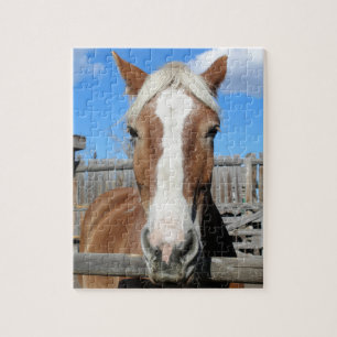 Belgian Draft Horse Jigsaw Puzzle