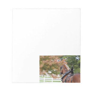 Belgian Draft Horse Notepad