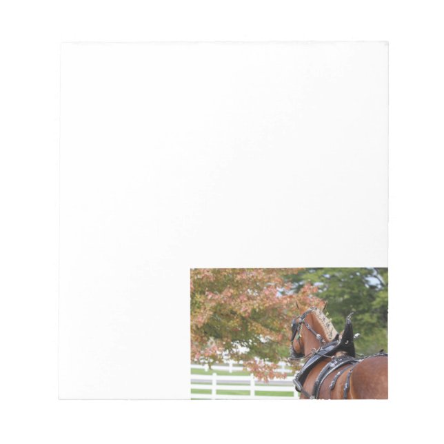 Belgian Draft Horse Notepad (Front)