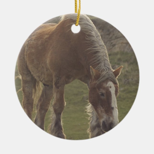 Belgian Draft Horse Ornament (Front)