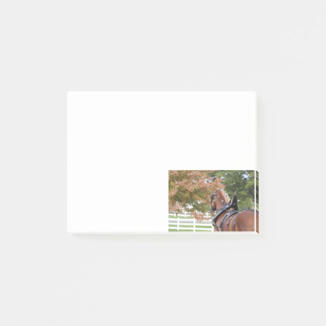 Belgian Draft Horse Post It notes (Front)