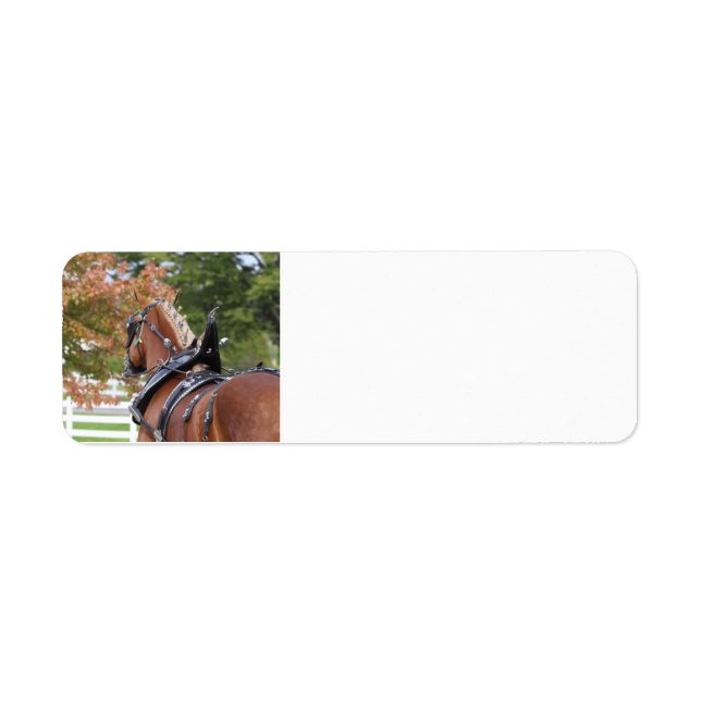 Belgian Draft Horse return address labels (Front)