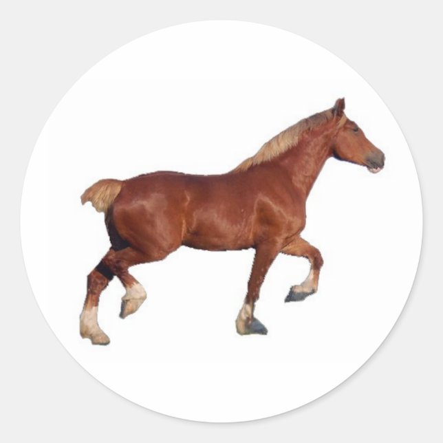 Belgian Draft Horse Sticker (Front)