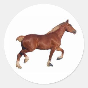 Belgian Draft Horse Sticker