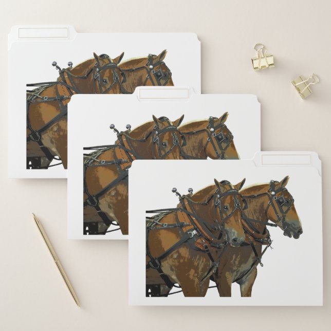 Belgian Draft Horse Team File Folders (Set)