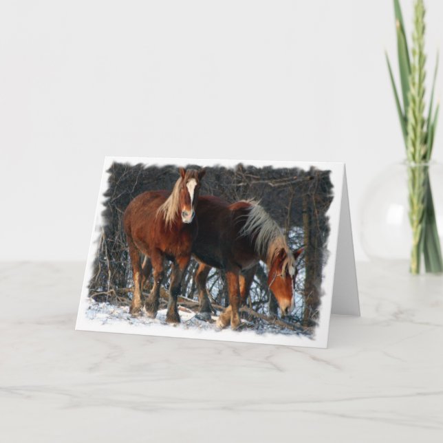 Belgian Draft Horses Greeting Card (Front)