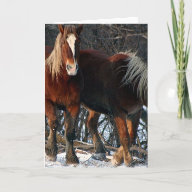 Belgian Draft Horses Greeting Card (Front)