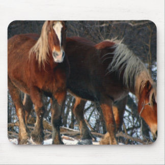 Belgian Draft Horses Mouse Pad