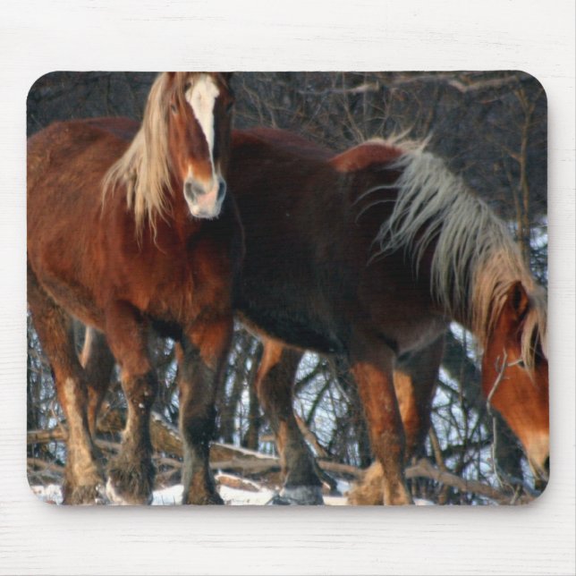 Belgian Draft Horses Mouse Pad (Front)