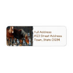 Belgian Draft Return Address Label