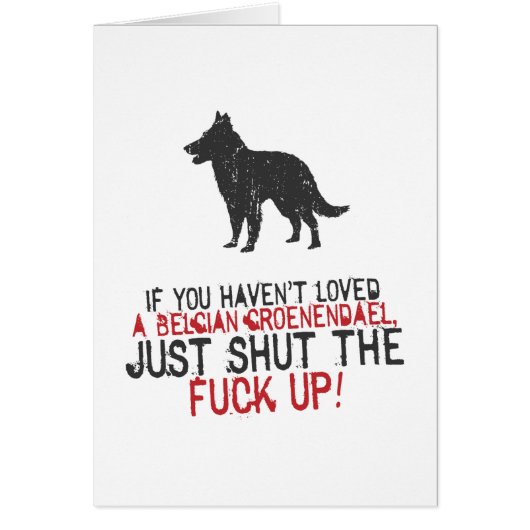 Belgian Groenendael (Front)