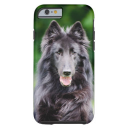 Belgian Groenendael dog, Belgian Shepherd photo Tough iPhone 6 Case