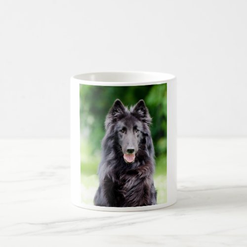 Belgian Groenendael dog belgian shepherd photo Coffee Mug