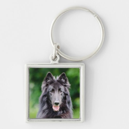 Belgian Groenendael dog Belgian Shepherd photo Keychain