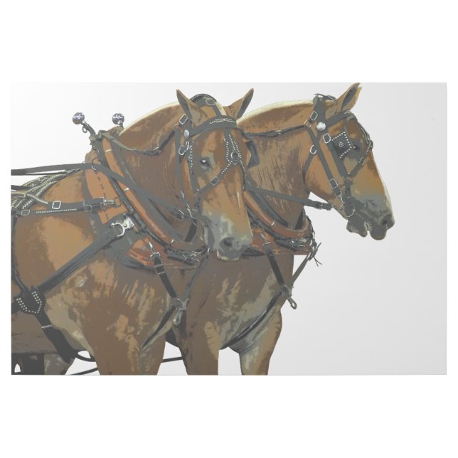 Belgian Horse Draft Team Gallery Wrap (Front)