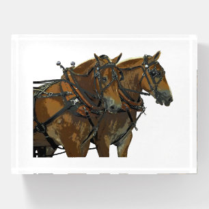 Belgian Horse Draft Team Paperweight