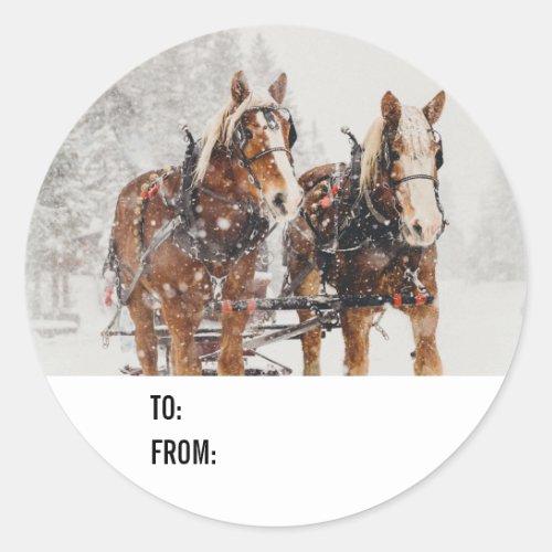 Belgian Horse Team Wintery Christmas Scene Classic Round Sticker