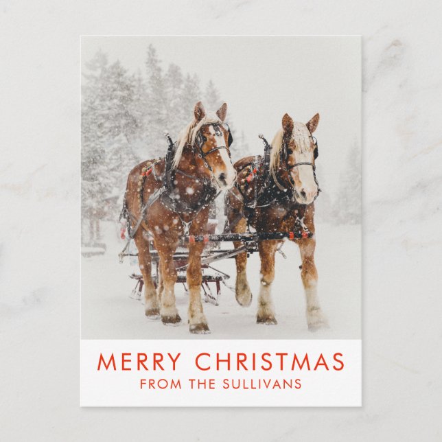 Belgian Horse Team Wintery Christmas Scene Postcard (Front)