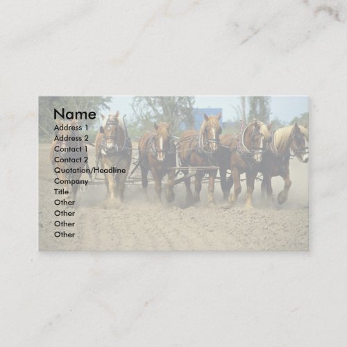 Belgian horses plowing six_up Red Top Farm Cali Business Card
