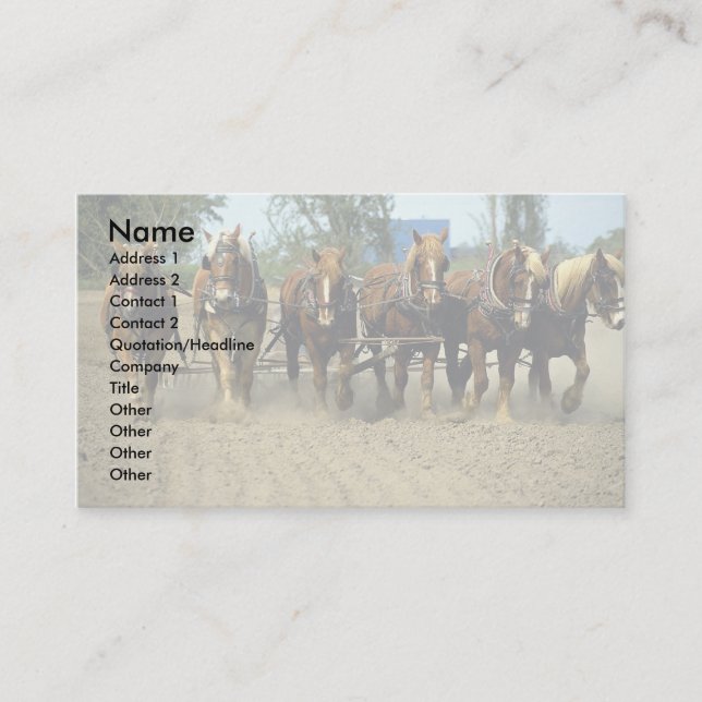 Belgian horses plowing, six-up, Red Top Farm, Cali Business Card (Front)