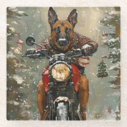 Belgian Malinoi Dog Riding Motorcycle Christmas  Glass Coaster