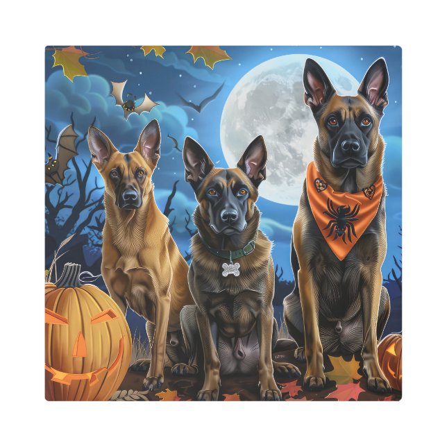 Belgian Malinoi Halloween Spooky Metal Print (Front)