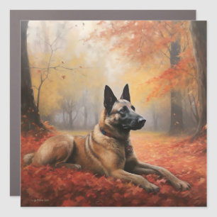 Belgian Malinoi in Autumn Leaves Fall Inspire Car Magnet