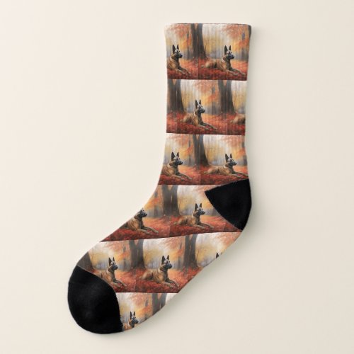 Belgian Malinoi in Autumn Leaves Fall Inspire  Socks