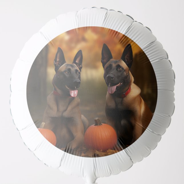 Belgian Malinoi Puppy Autumn Delight Pumpkin  Balloon (Front)