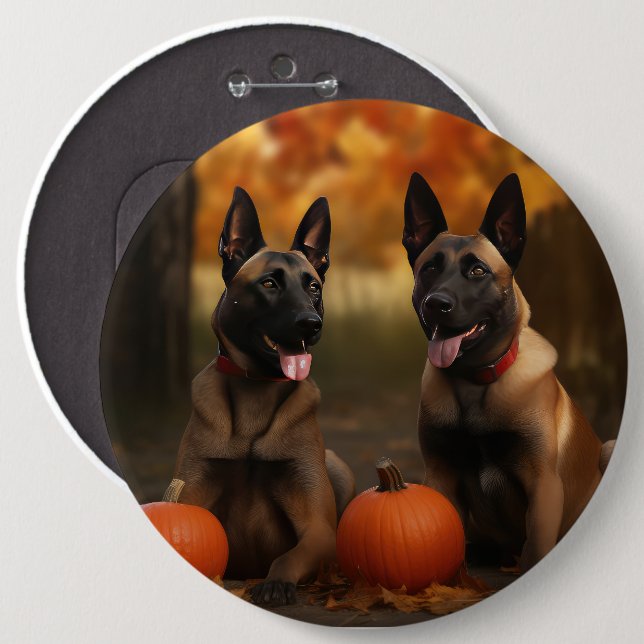 Belgian Malinoi Puppy Autumn Delight Pumpkin  Button (Front & Back)