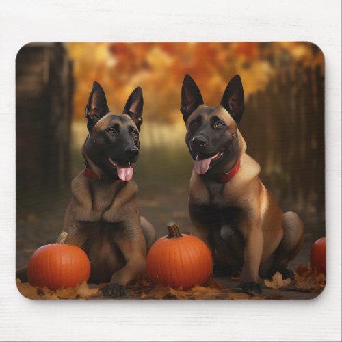 Belgian Malinoi Puppy Autumn Delight Pumpkin  Mouse Pad