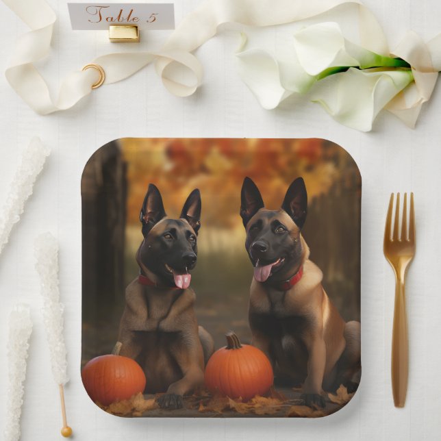 Belgian Malinoi Puppy Autumn Delight Pumpkin  Paper Plates (Wedding)