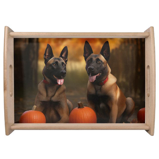 Belgian Malinoi Puppy Autumn Delight Pumpkin  Serving Tray (Front)