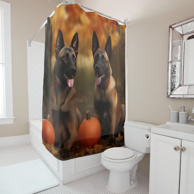 Belgian Malinoi Puppy Autumn Delight Pumpkin  Shower Curtain (In Situ)
